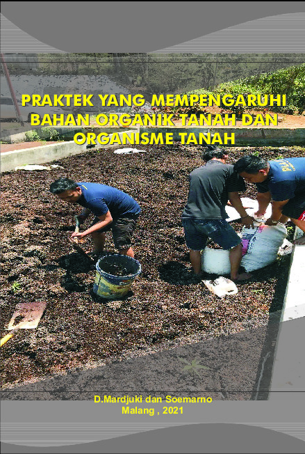 Sampul buku PRAKTEK YANG MEMPENG...